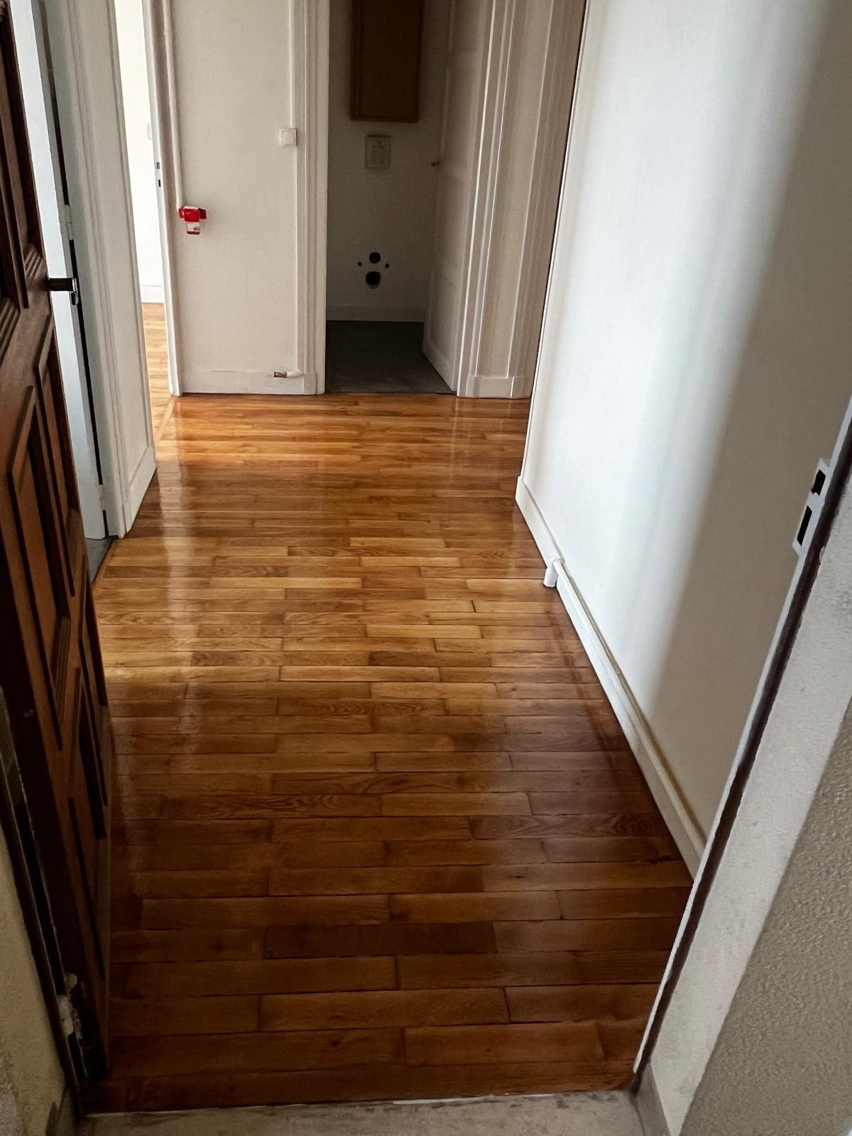 Couloir au parquet en point de Hongrie, devant une porte ancienne en bois foncé